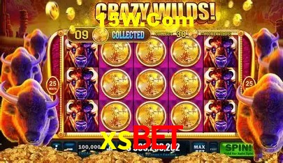 Jackpots e promoções na xsbet
